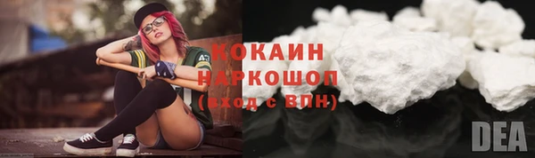 бошки Алексин